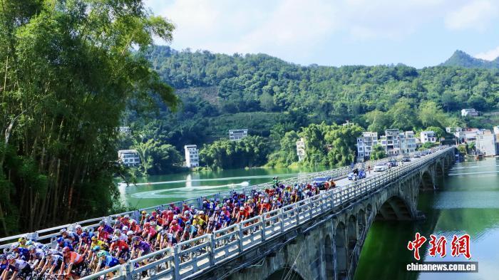 参赛, HDjCq, 王以照